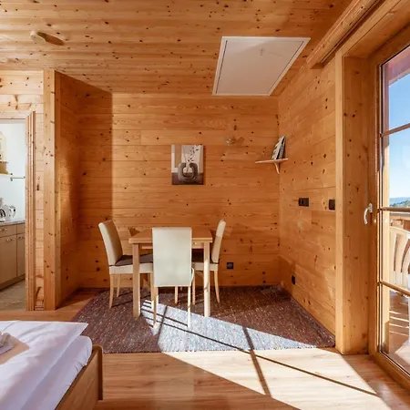 Appartement In- Out - Haus Stocker - Direkt An Der Skipiste By Schladmingurlaub Schladming