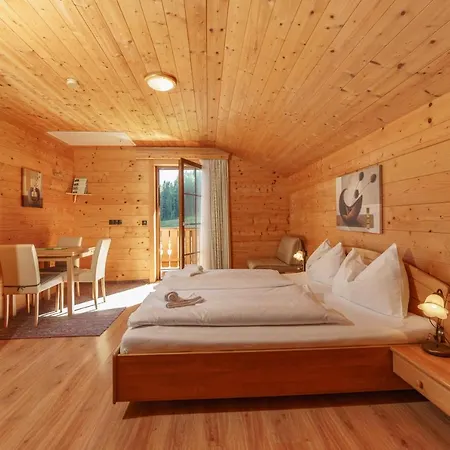 In- Out - Haus Stocker - Direkt An Der Skipiste By Schladmingurlaub