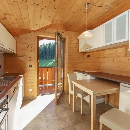 Apartamento In- Out - Haus Stocker - Direkt An Der Skipiste By Schladmingurlaub Schladming