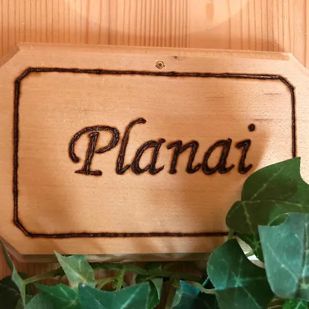 In- Out - Haus Stocker - Direkt An Der Skipiste By Schladmingurlaub 公寓 *