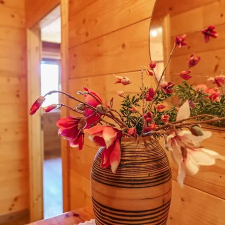 דירה In- Out - Haus Stocker - Direkt An Der Skipiste By Schladmingurlaub שלאדמינג