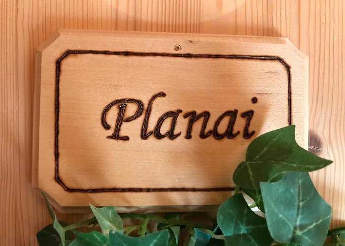 In- Out - Haus Stocker - Direkt An Der Skipiste By Schladmingurlaub Lejlighed *